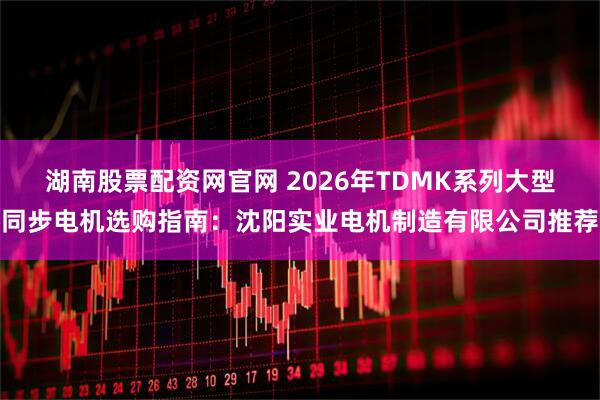 湖南股票配资网官网 2026年TDMK系列大型同步电机选购指南：沈阳实业电机制造有限公司推荐